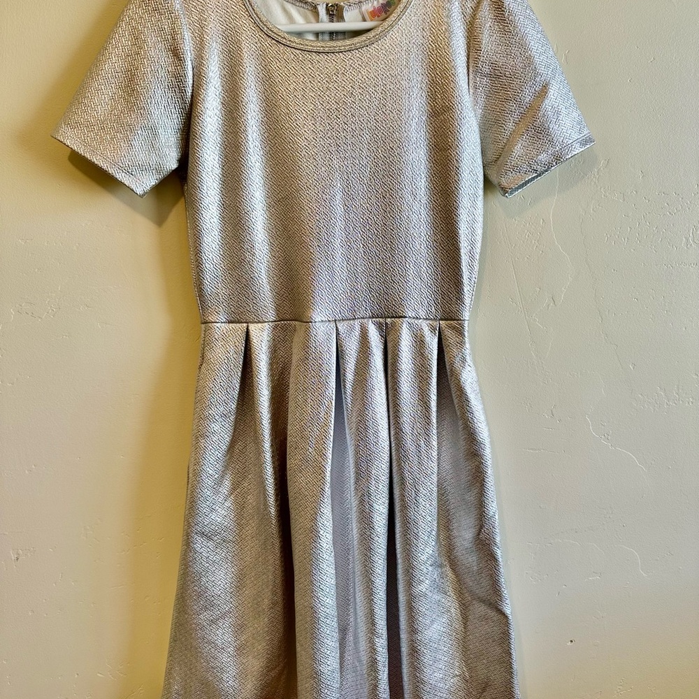 LuLaRoe Shimmering Silver Dress
